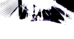 LAVAs_Group