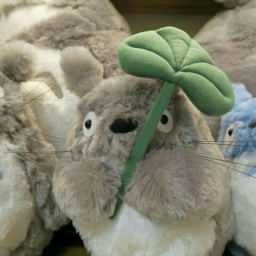 '