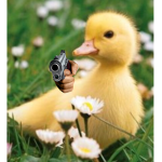 The Deadly Duckies
