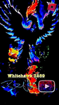WHITEHAWK3289