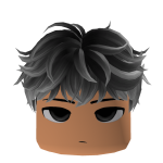 [FREE] Messy Gray Fluffy Hair w/ Face