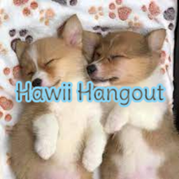 Hawii Hangout :D