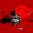 Bee's Skybox Tour [RISKY & ROWDY]