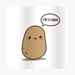 Everyone is pretty