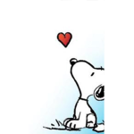 Camp Snoopy Group