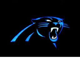 Bank of America Panthers field
