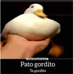 el grupo de las Amigassssss