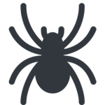 spiderr