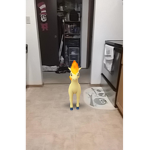 Koolkidz2.0