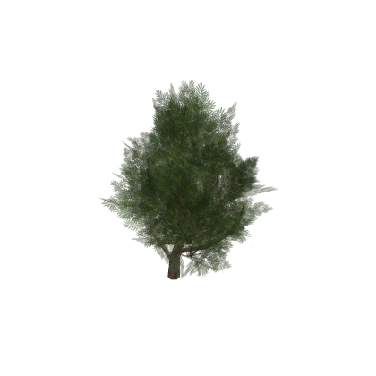 (Animated) Realistic tree
