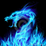 Teh Blue Dragons
