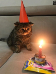 Auroro Games