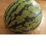 die melonen