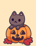 Cat proup