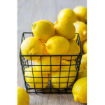 Lemons Tribe