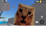 Cats are sup3rior