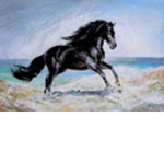 || The black horse ||