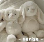 - cerise <3