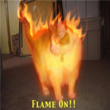 Flame Cat! Roblox decal
