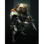 Crazy Pug Obbies