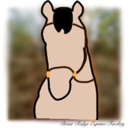 Briar Ridge Equine Facility