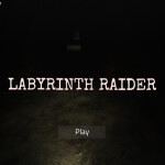 Labyrinth Raider