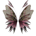 Rose Forest Fairy Wings