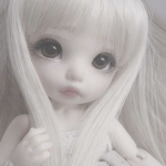 /pawzz