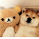 doggy gang <3