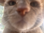 TK PR0DUCTI0NS