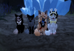 ·SunClan·