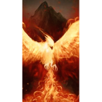 Phoenix123