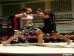 fernal fighters