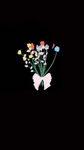 Sofixz fans group