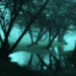 ᅠᅠᅠᅠ🍃