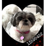 lulu<33