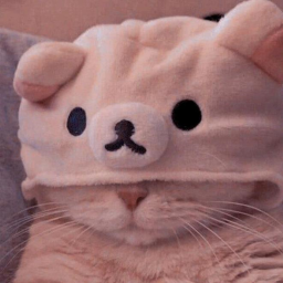 ✩