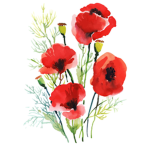 Poppy Seed's