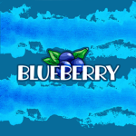 Blueberry Clothing Brands