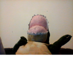 Dino The Dino