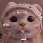w i k a p w i
