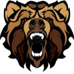 Metro Bears