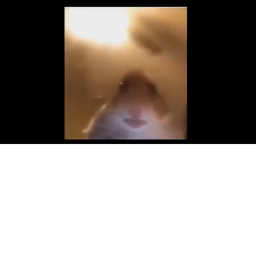 Pet Simulator Z