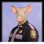 The Pig Killers