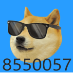 The Doge Club Official.