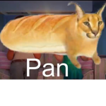 El grupito de el colegio