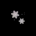 Snowy Walks At Night