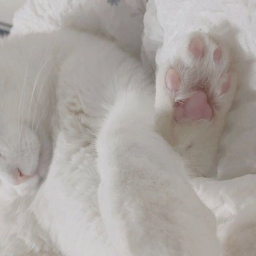 ୨୧