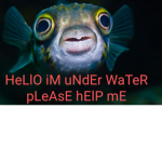 FiSh hAiR