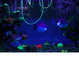 Aquarium Cafe